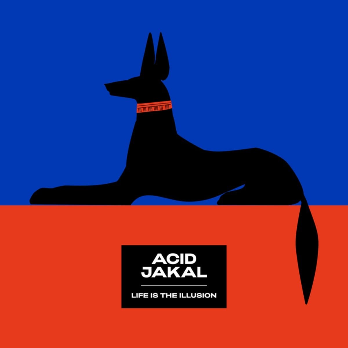 Acid_Jakal-Life_Is_The_Illusion-_SLVMNCR014_-WEB-2026-TR