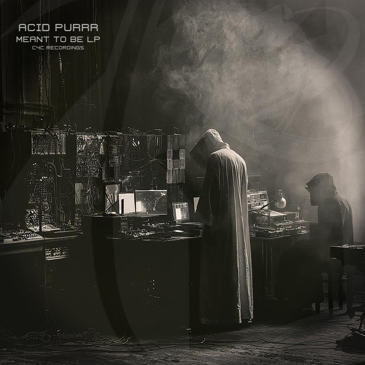 Acid_Purrr-Meant_To_Be_LP-_C4CDIGUKLP009_-WEB-2026-PTC
