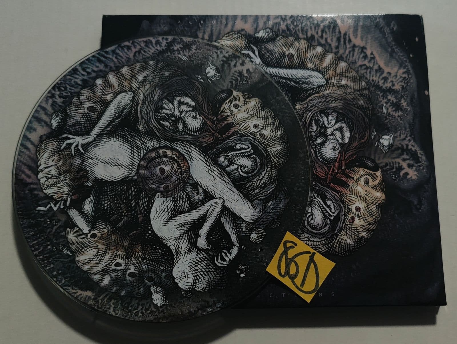 Across_the_Swarm-Projections-_TTK027CD_-CDEP-FLAC-2020-86D