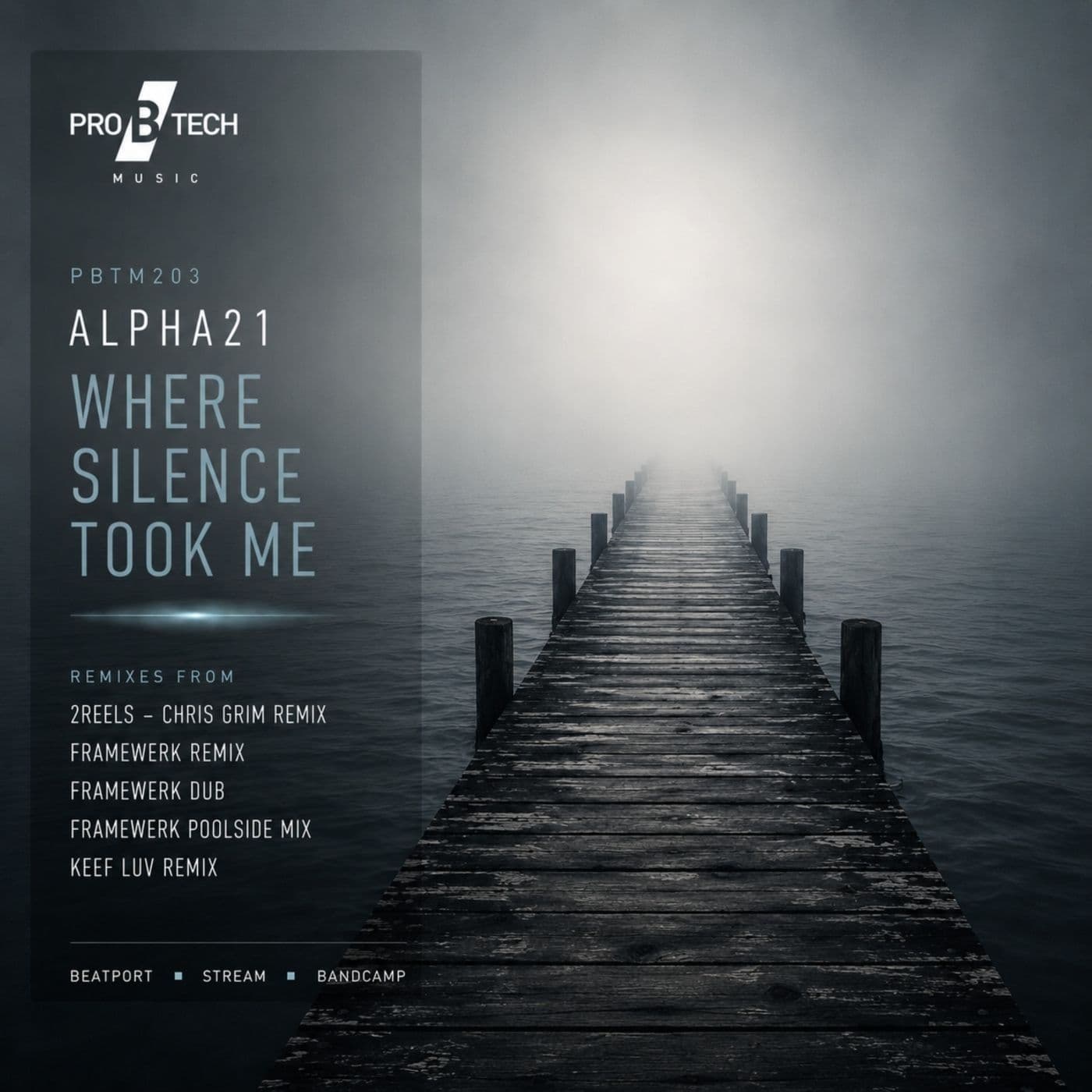 ALPHA21-Where_Silence_Took_Me-_PBTM203_-WEB-2026-PTC