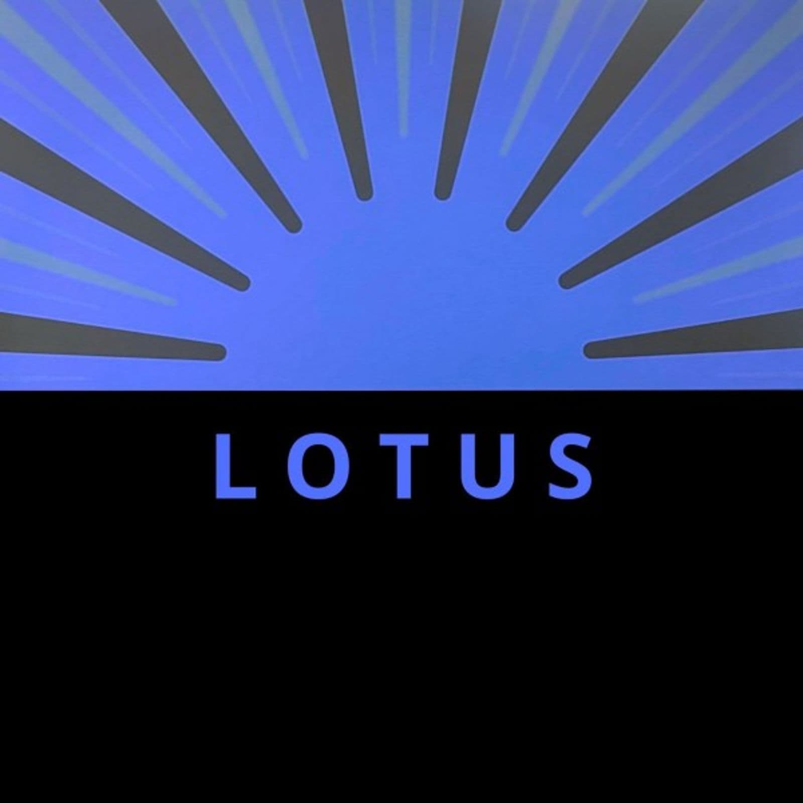 Angelo_Corcetto-A-lotus-_4071624091688_-WEB-2026-BB