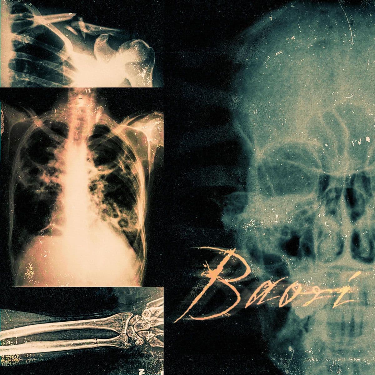 Baori-Promo_26-16BIT-WEB-FLAC-2026-VEXED