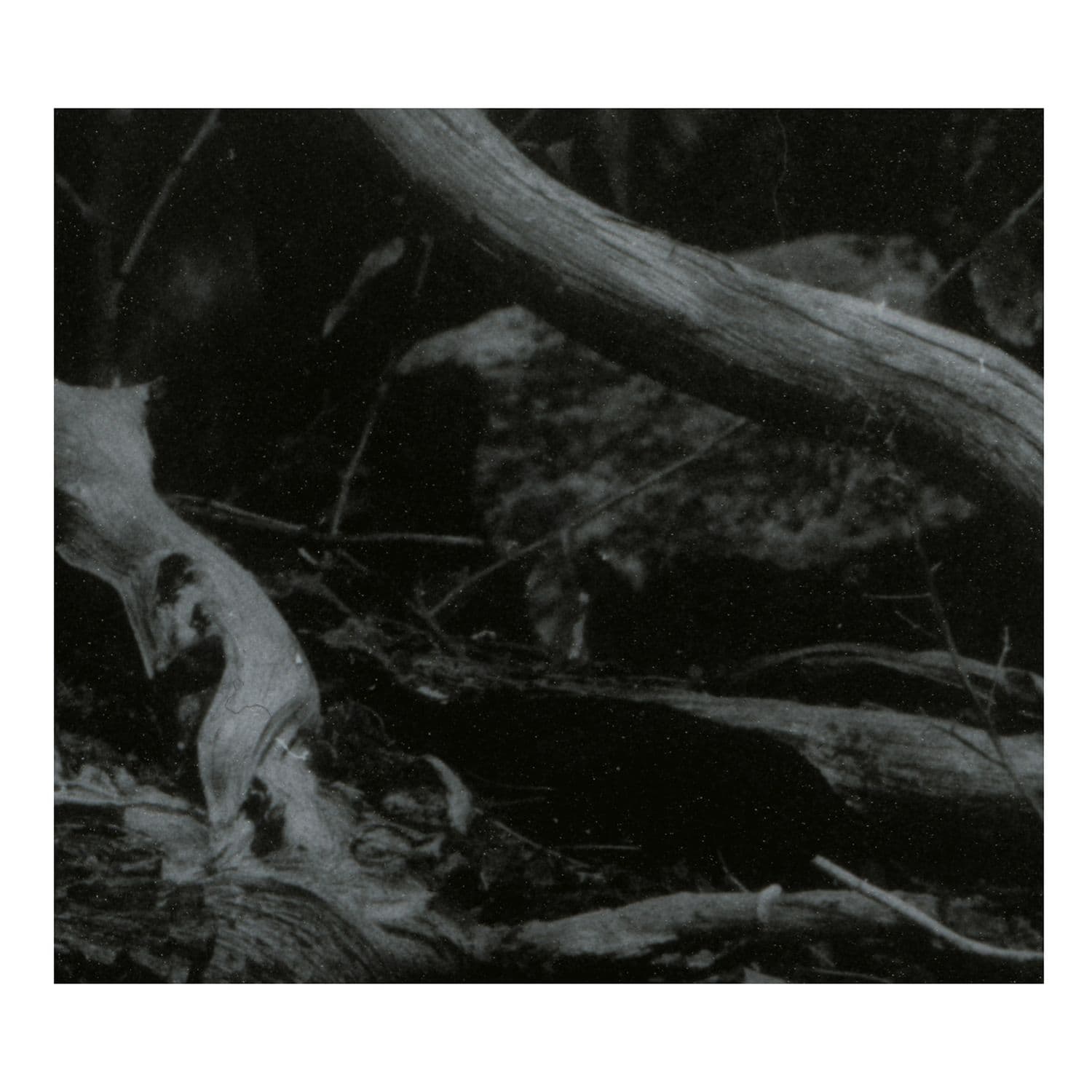 Barren_Canyon-World_of_Wounds-16BIT-WEB-FLAC-2018-MOONBLOOD