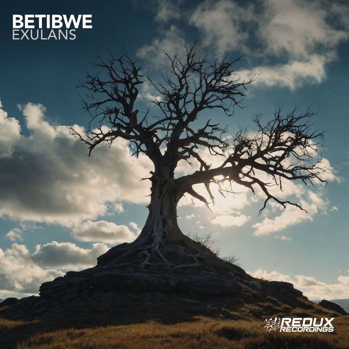Betibwe_-_Exulans-_RDX711_-WEB-2026-FMC