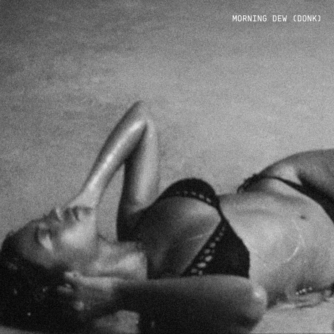 Beyonce-MORNING_DEW_DONK_-SINGLE-WEB-2026-ENRiCH