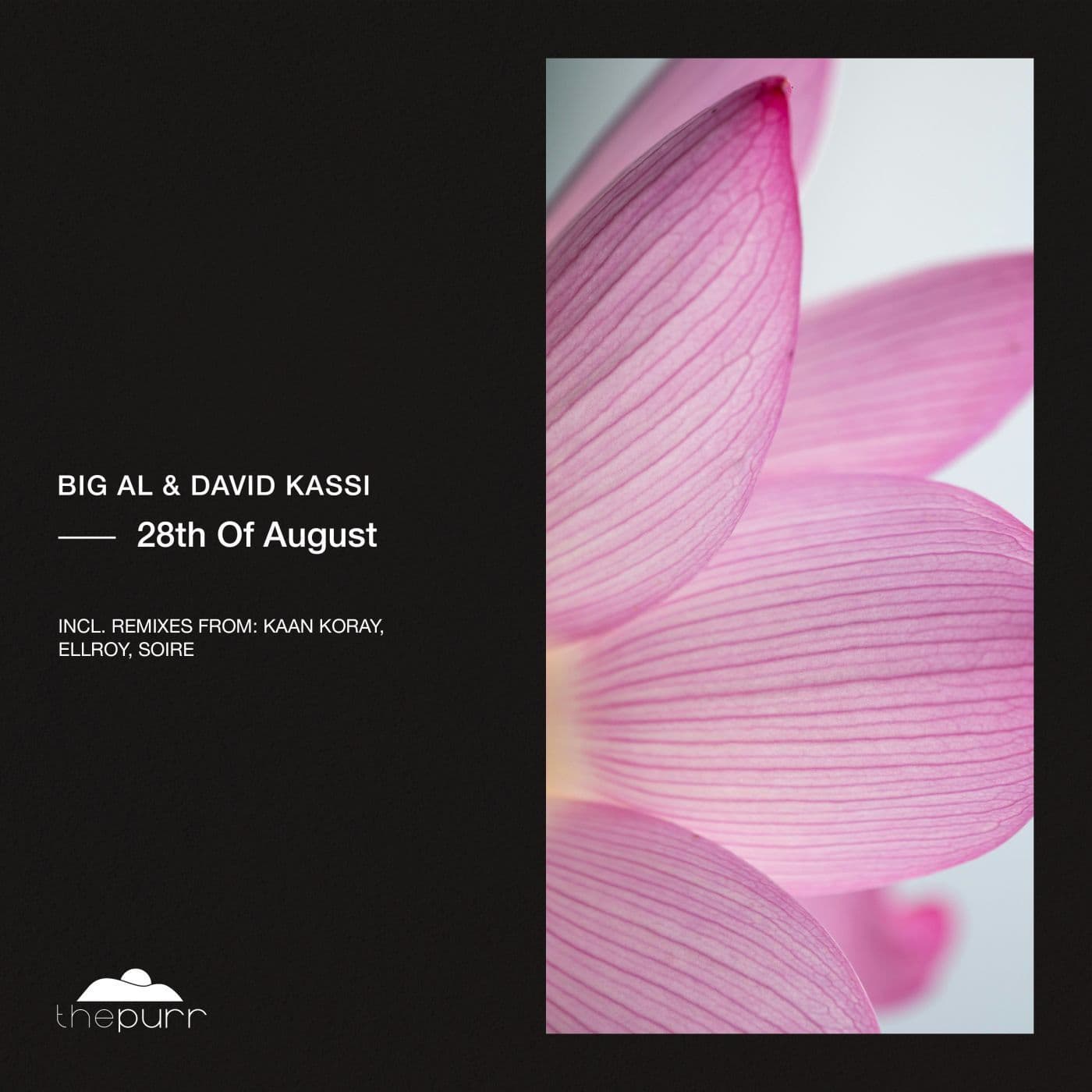 Big_Al_and_David_Kassi-28th_of_August-_PURR540_-WEB-2026-PTC