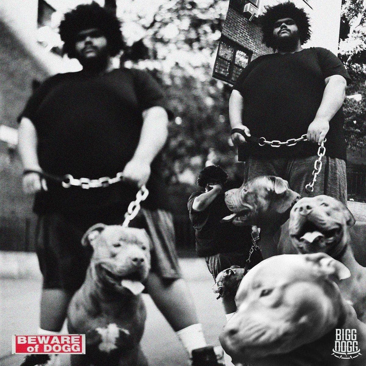 Bigg_Dogg-Beware_Of_Dogg-WEB-2022-FTD