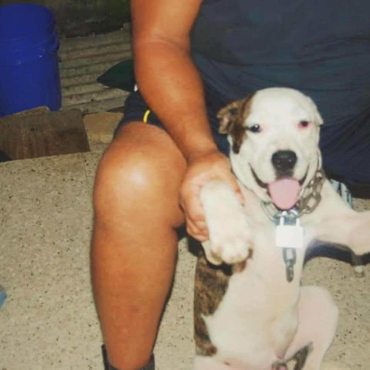 Bigg_Dogg-Pups-EP-WEB-2026-FTD