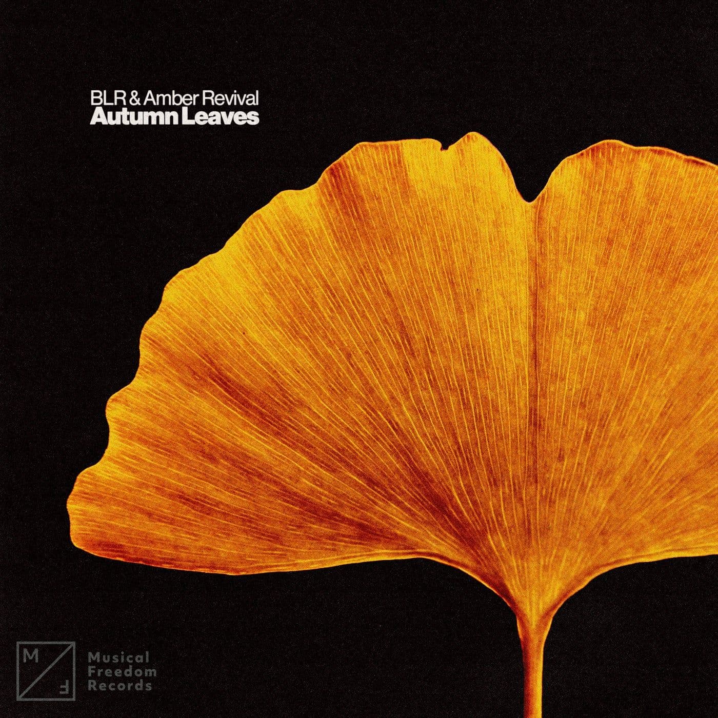 BLR_And_Amber_Revival-Autumn_Leaves_Extended_Mix_-SINGLE-WEB-2026-AOV