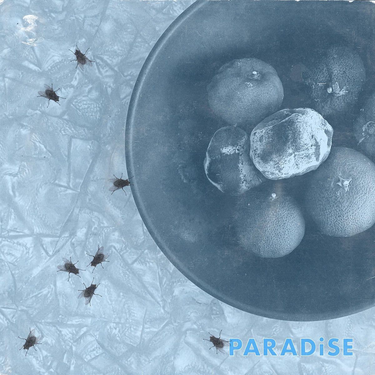 Cell_Rot-Paradise_Parasite_II-Single-16BIT-WEB-FLAC-2026-VEXED