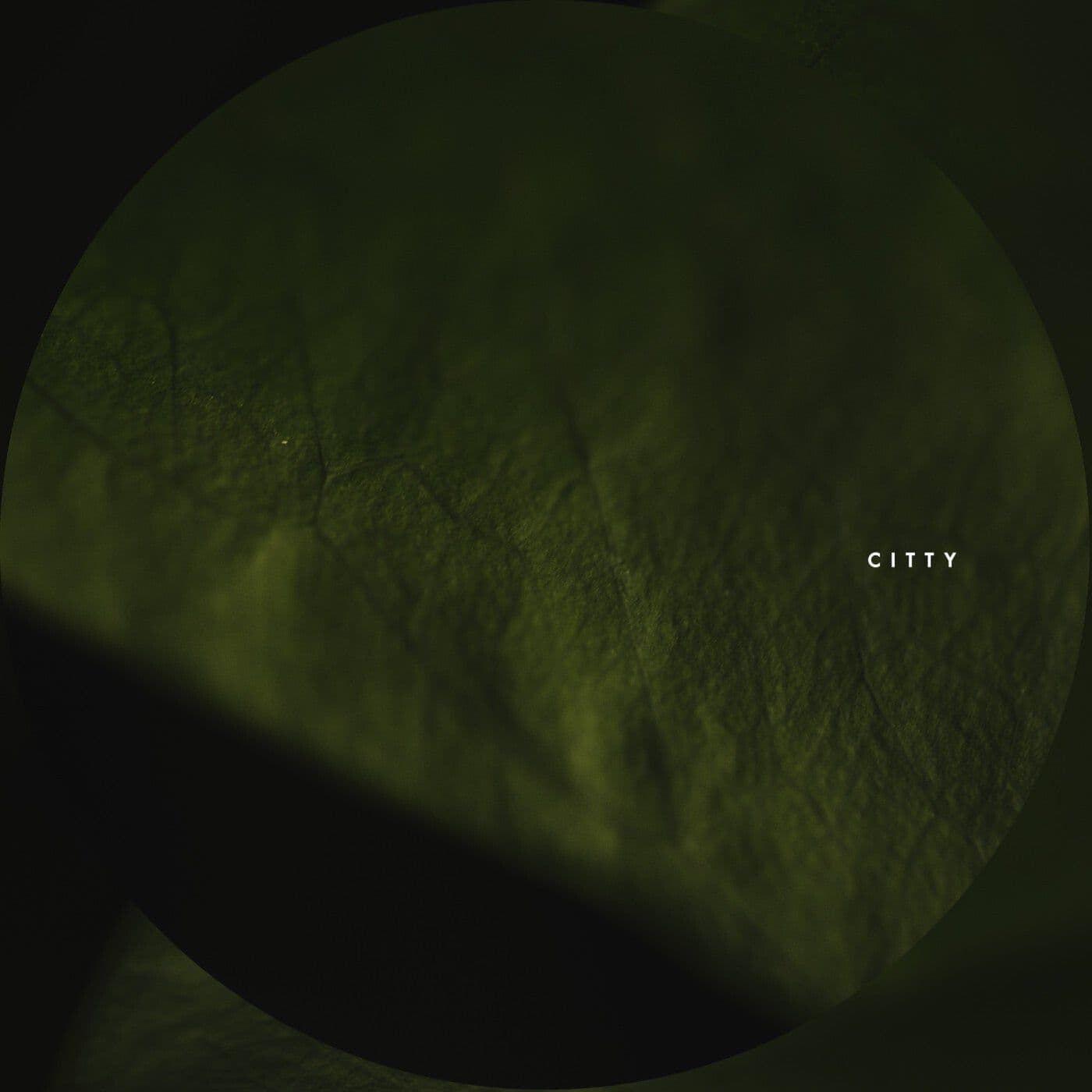 Citty-Brain_Braker-_CIR181_-WEB-2026-PTC