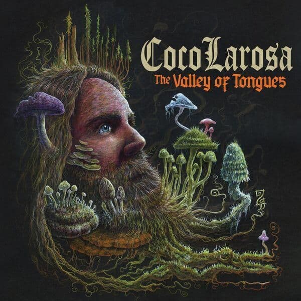 Cocolarosa-The_Valley_of_Tongues-24BIT-WEB-FLAC-2026-ENRiCH