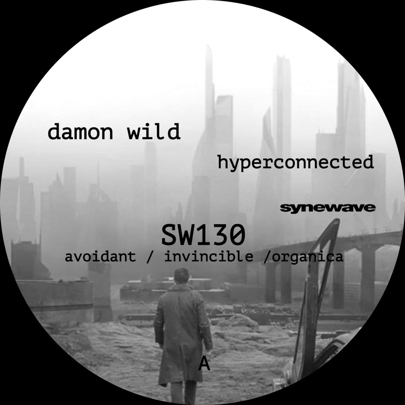 Damon_Wild-Hyperconnected-_SW130_-WEB-2026-PTC