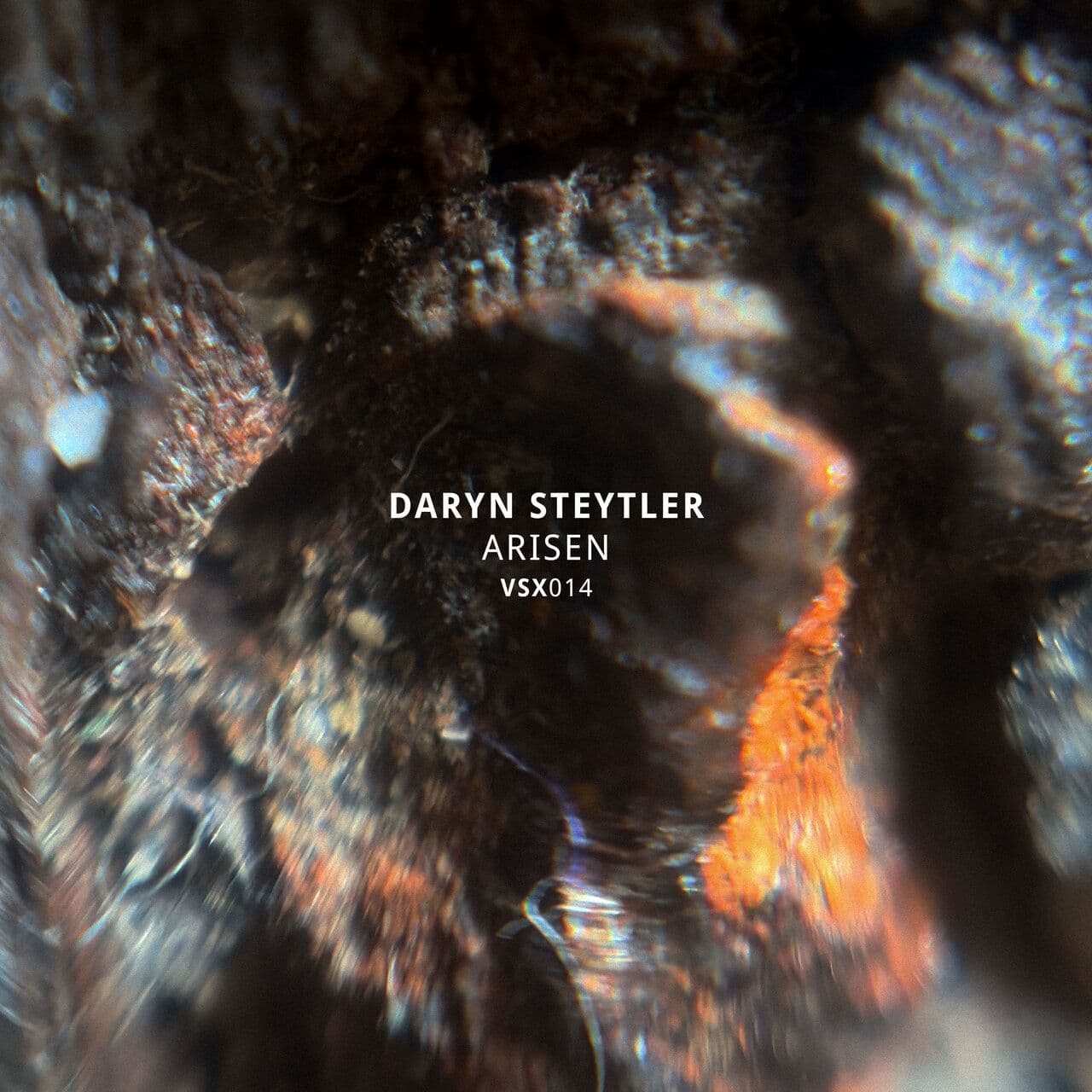 Daryn_Steytler-Arisen-VSX014-24BIT-WEB-FLAC-2026-WAVED