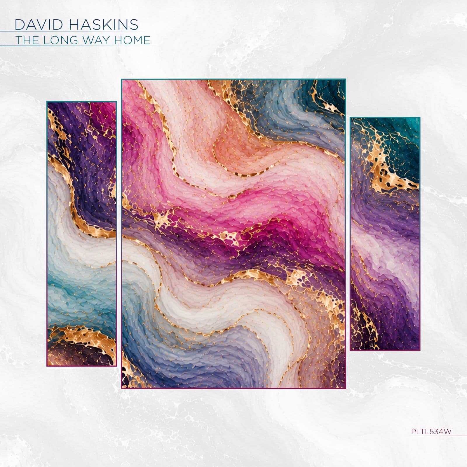 David_Haskins-The_Long_Way_Home-_PLTL534W_-SINGLE-WEB-2026-PTC
