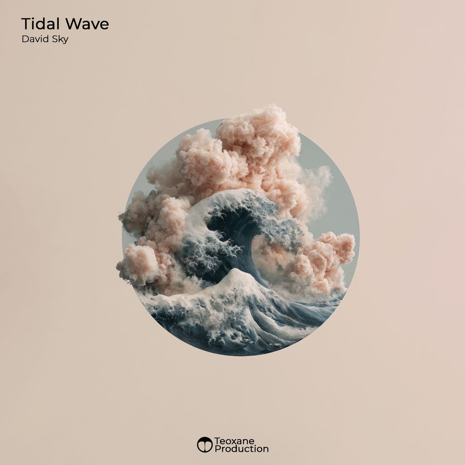 David_Sky-Tidal_Wave-_TPE378_-WEB-2026-PTC