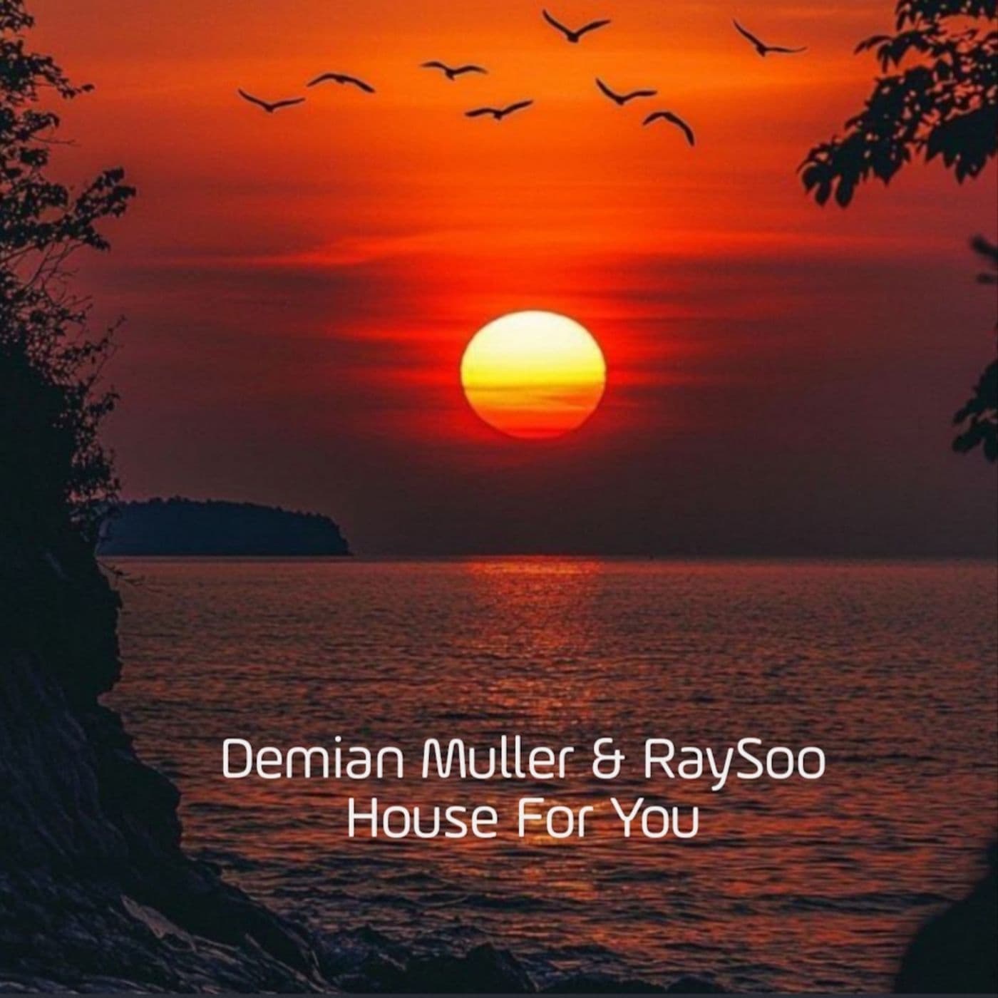 Demian_Muller_and_RaySoo-House_For_You-_LOVIN159_-SINGLE-WEB-2026-PTC