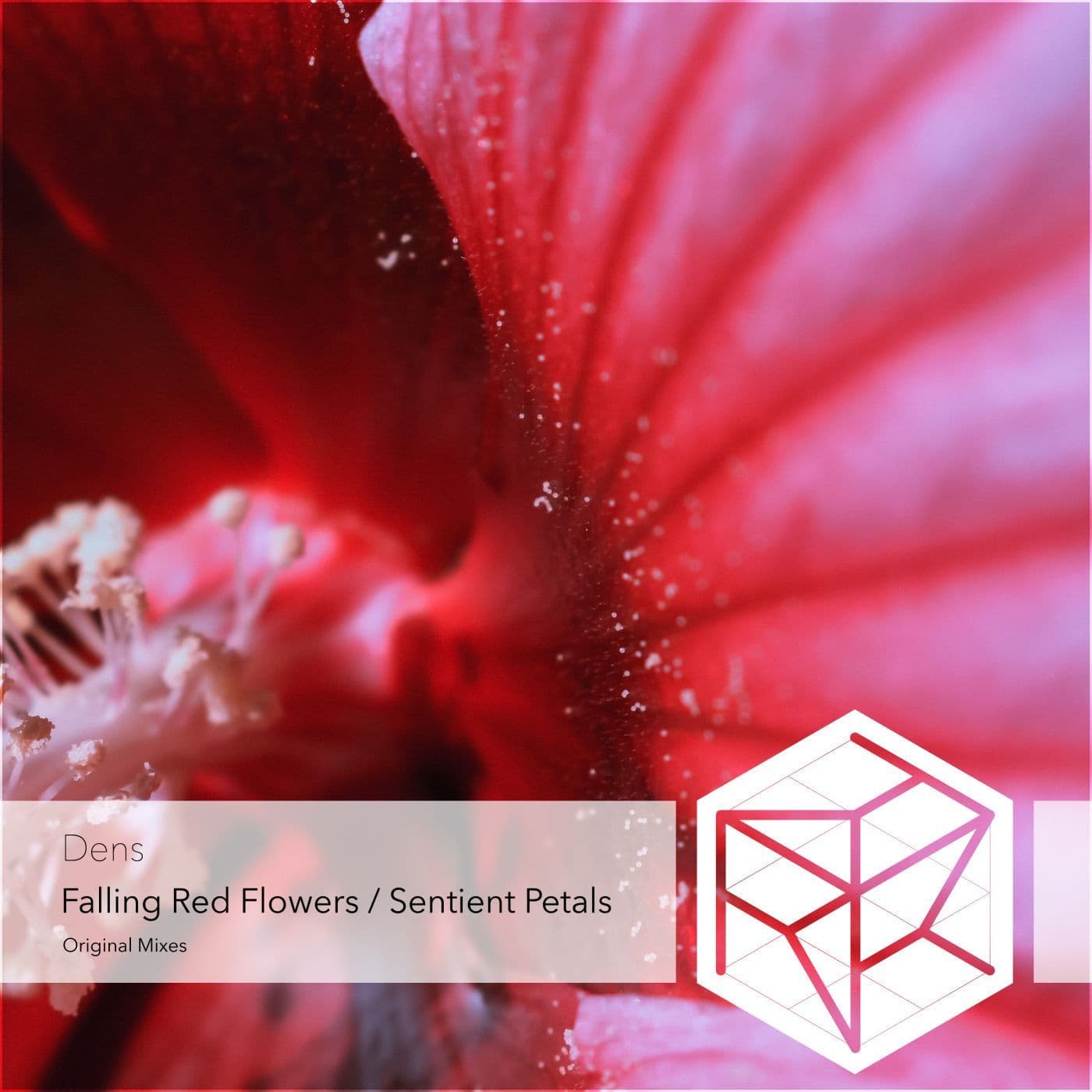 Dens_CN_-Falling_Red_Flowers_Sentient_Petals-_RRRNEW244_-WEB-2026-PTC