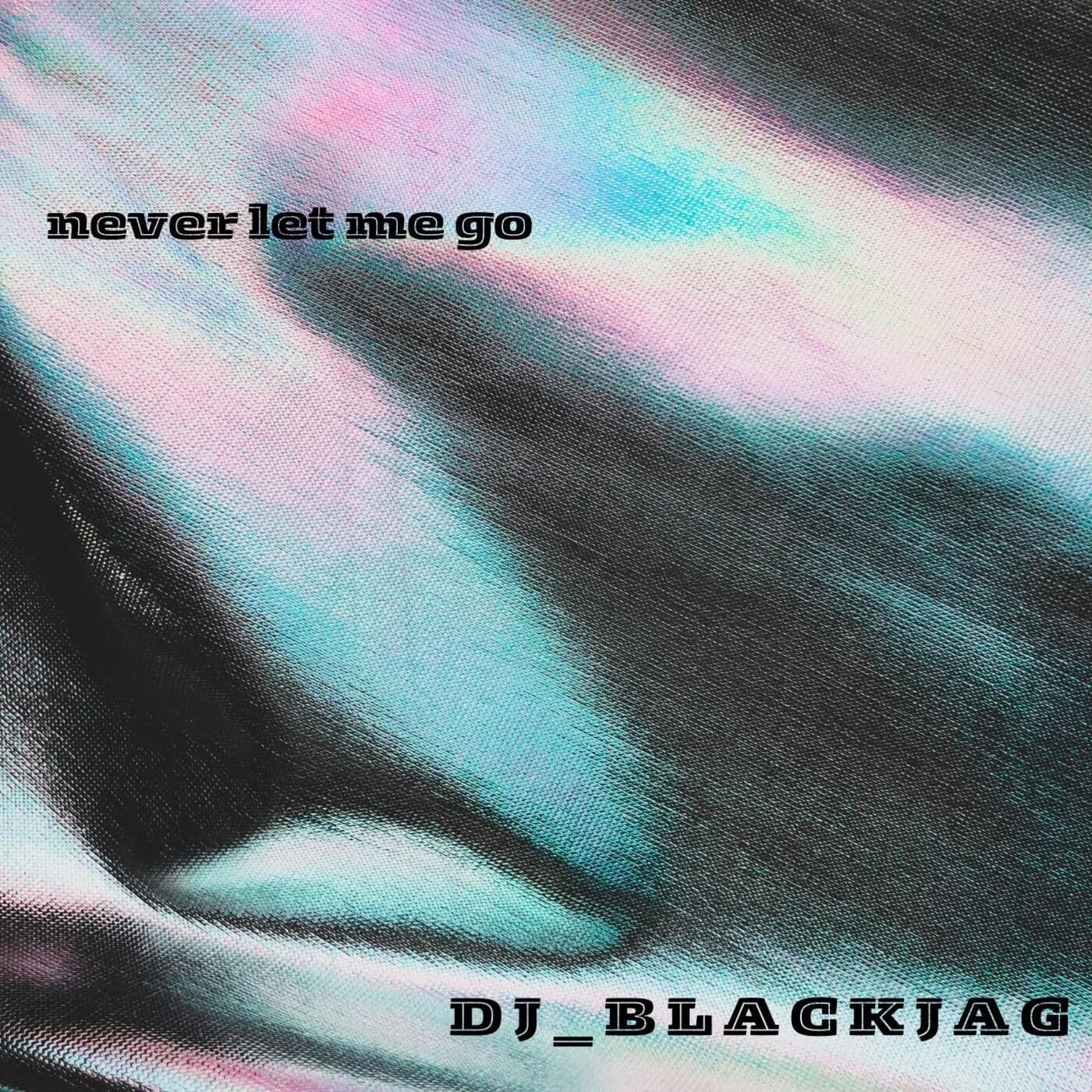 Dj_Blackjag-Never_let_me_go-_700891842597_-WEB-FLAC-16BIT-2026-SAS