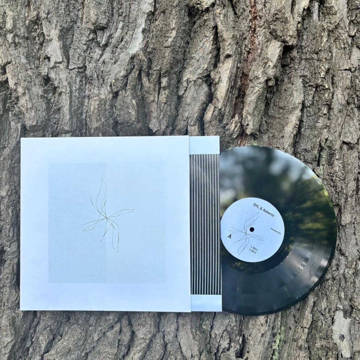 DYL_And_Roberta-Achordat_003-16BIT-WEB-FLAC-2026-AGITB