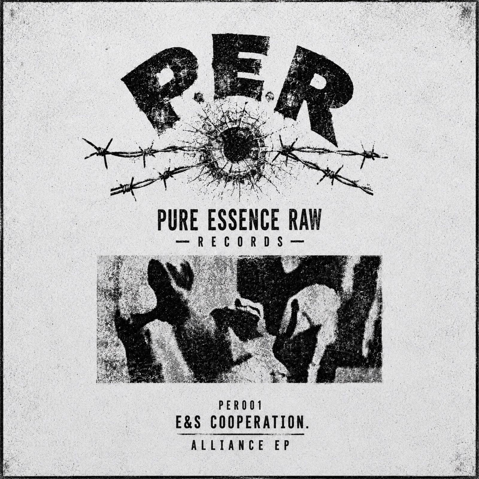 EandS_Cooperation.-Alliance_EP-_PER001_-WEB-2026-TR