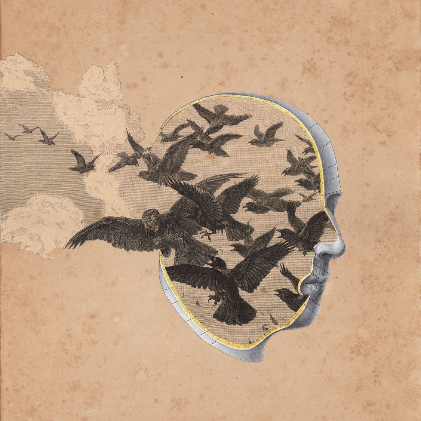 EOYYV-Direction_EP-_DOMU005_-WEB-2026-PTC