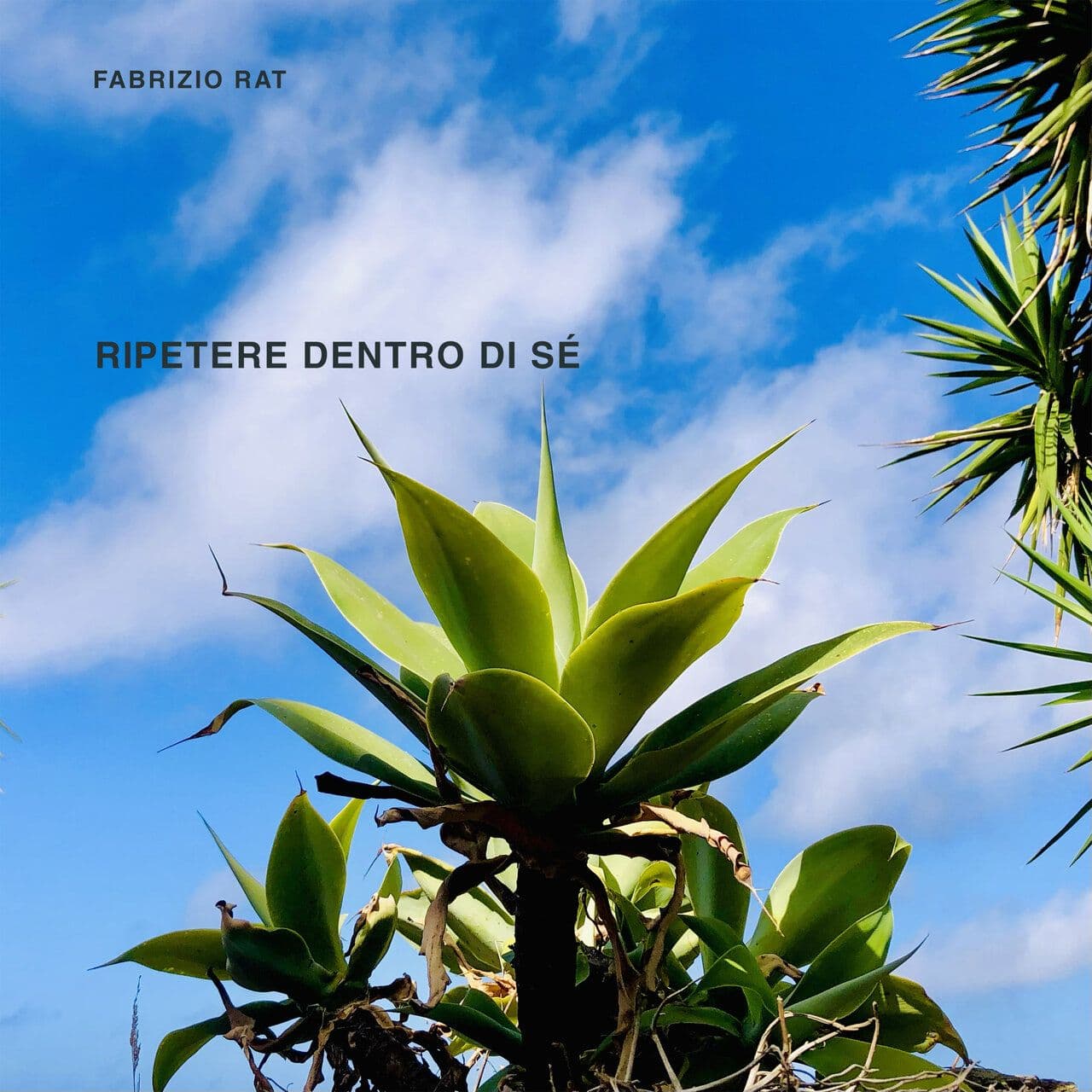Fabrizio_Rat-Ripetere_Dentro_Di_Se-FAB002-WEB-2026-WAV