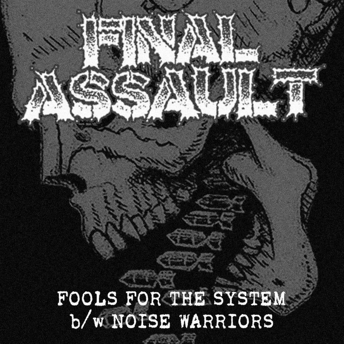 Final_Assault-Fools_For_The_System_B_W_Noise_Warriors-16BIT-WEB-FLAC-2026-VEXED