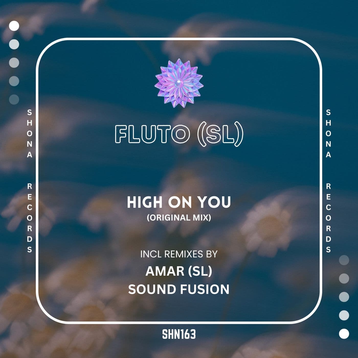 Fluto_SL-High_on_You-_SHN163_-WEB-2026-PTC