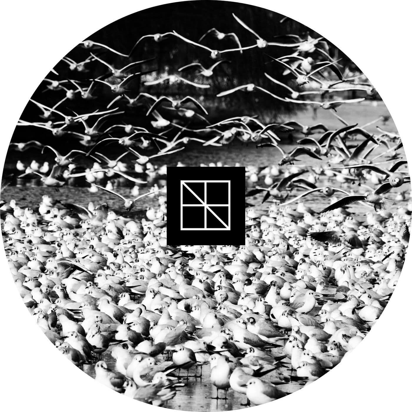 G_ROOM-El_Caos_Perdido-_BST034_-16BIT-WEB-FLAC-2026-PTC