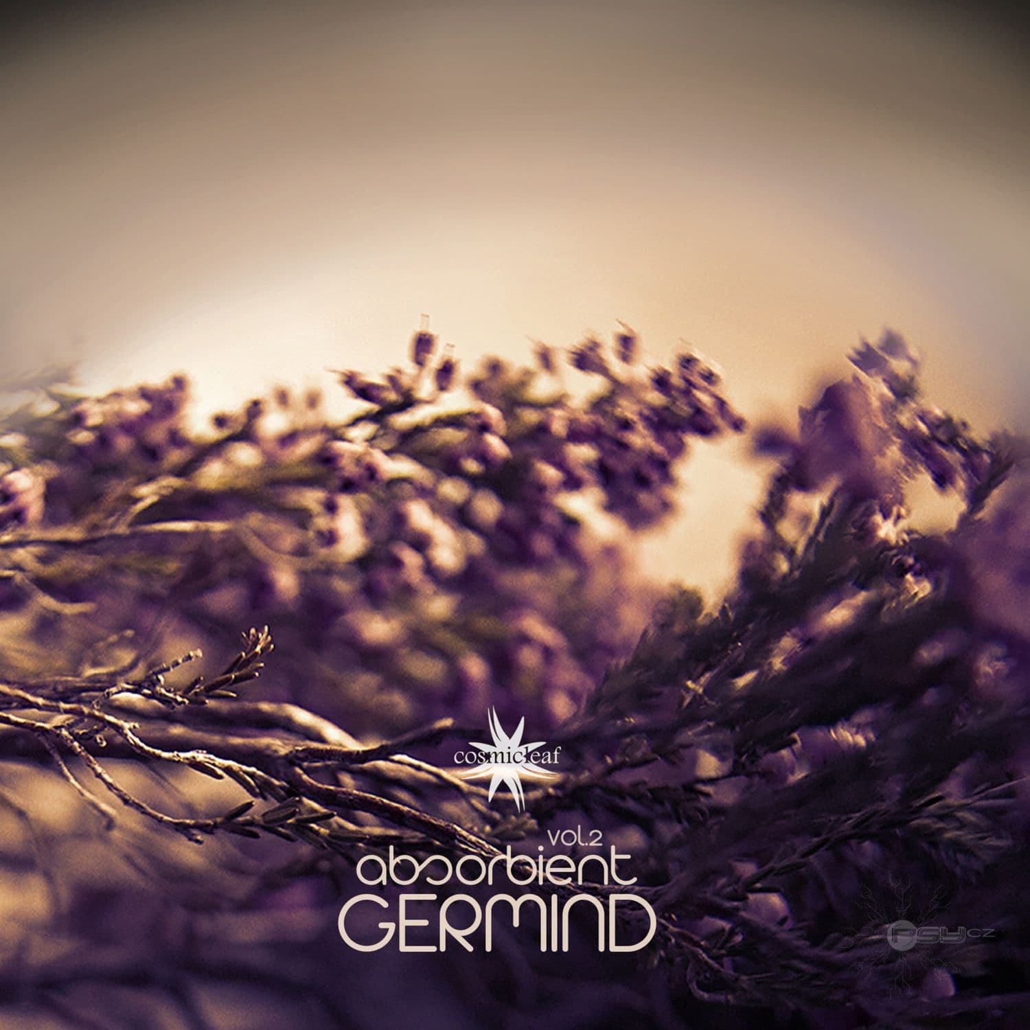 Germind_-_Absorbient_Vol._2-_CLCD280DG_-WEB-2019-PsyCZ_iNT