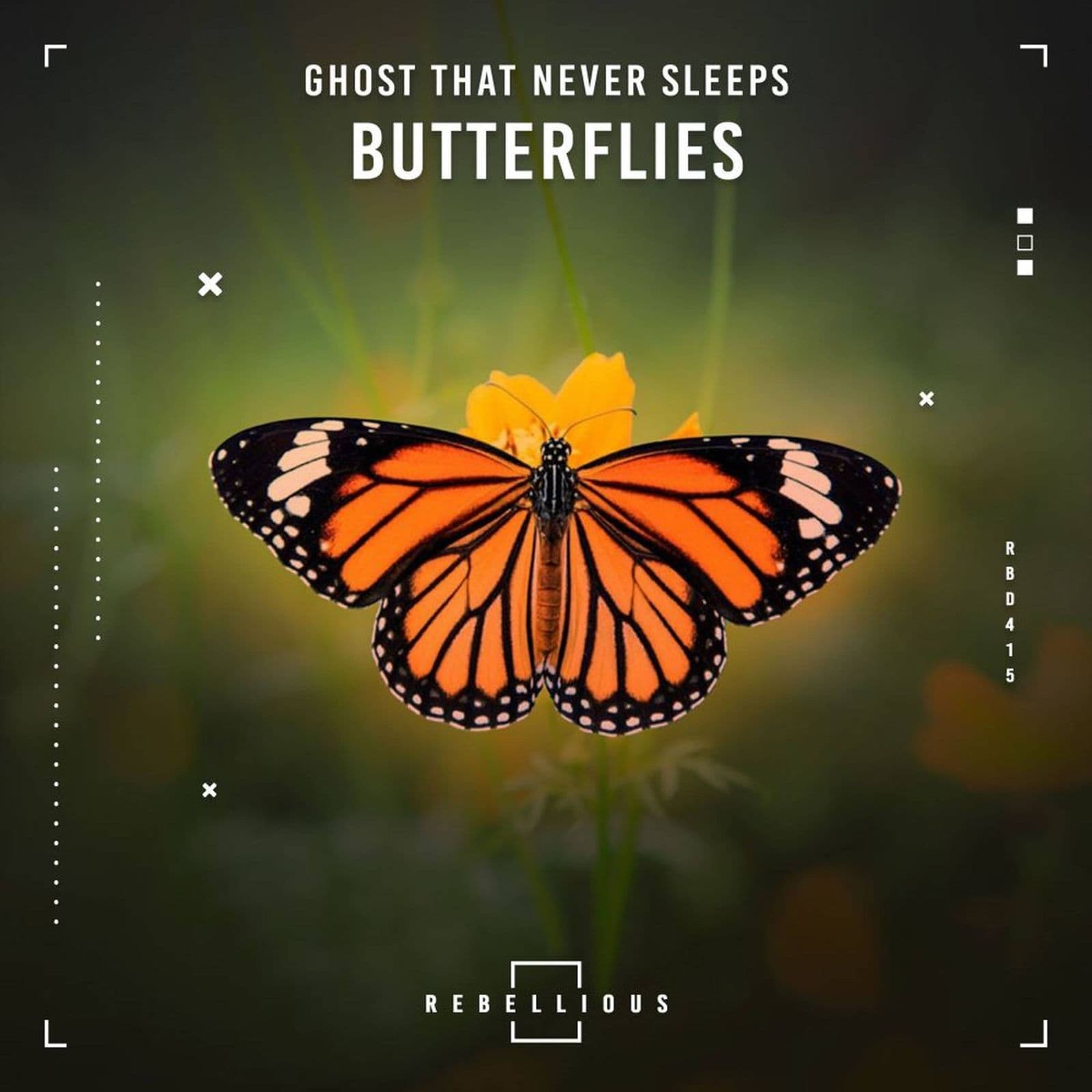 Ghost_That_Never_Sleeps-Butterflies-_RBD415_-SINGLE-WEB-2026-FALCON