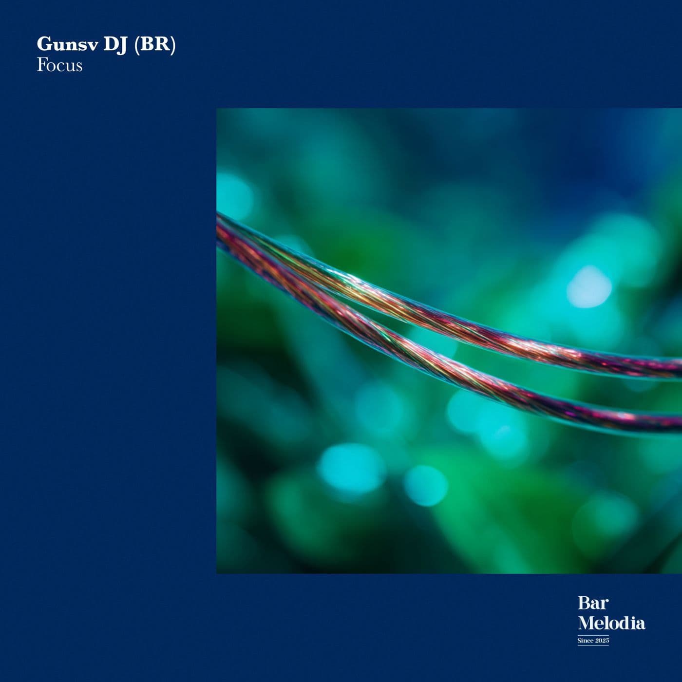 Gunsv_DJ_BR_-Focus-_BM240_-WEB-2026-PTC
