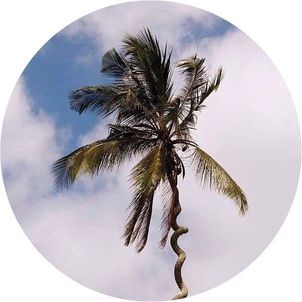 Harrison_BDP-Be_Like_Water-_PALMS016_-24BIT-WEB-FLAC-2018-BABAS