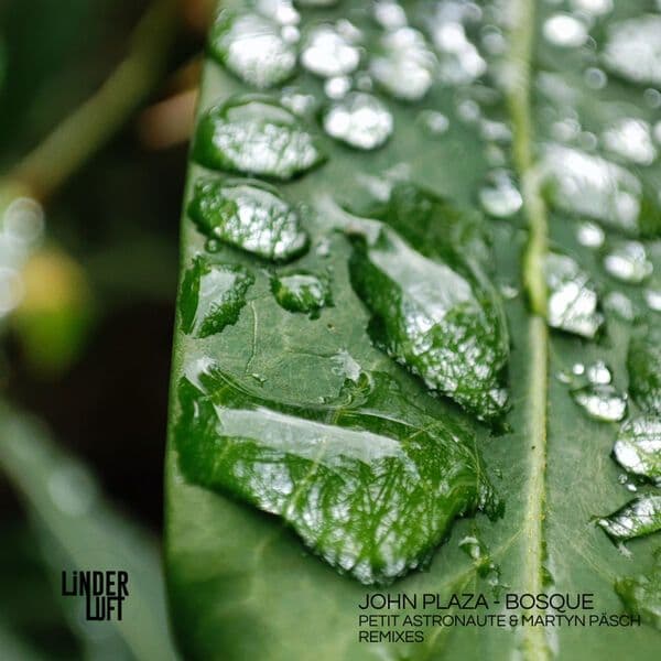 John_Plaza-Bosque-_LL001_-16BIT-WEB-FLAC-2022-BABAS