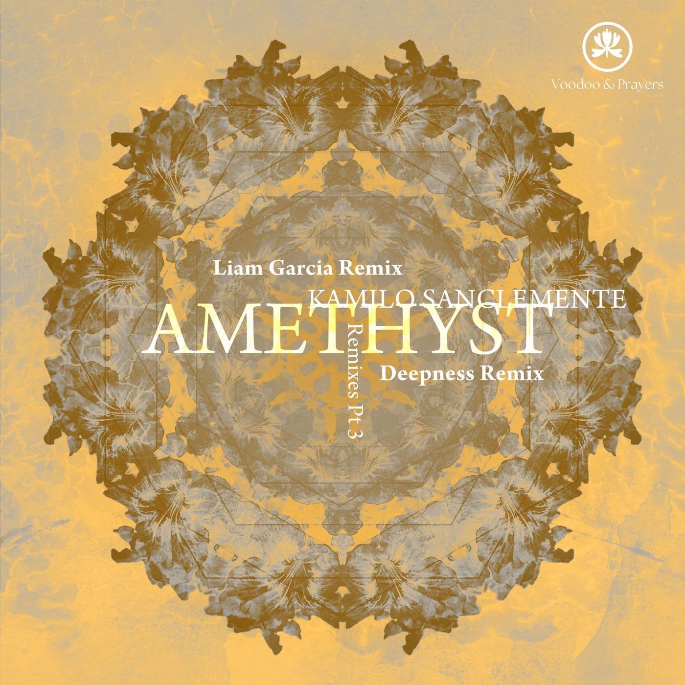 Kamilo_Sanclemente-Amethyst_Remixes-_VP086_-WEB-2026-PTC