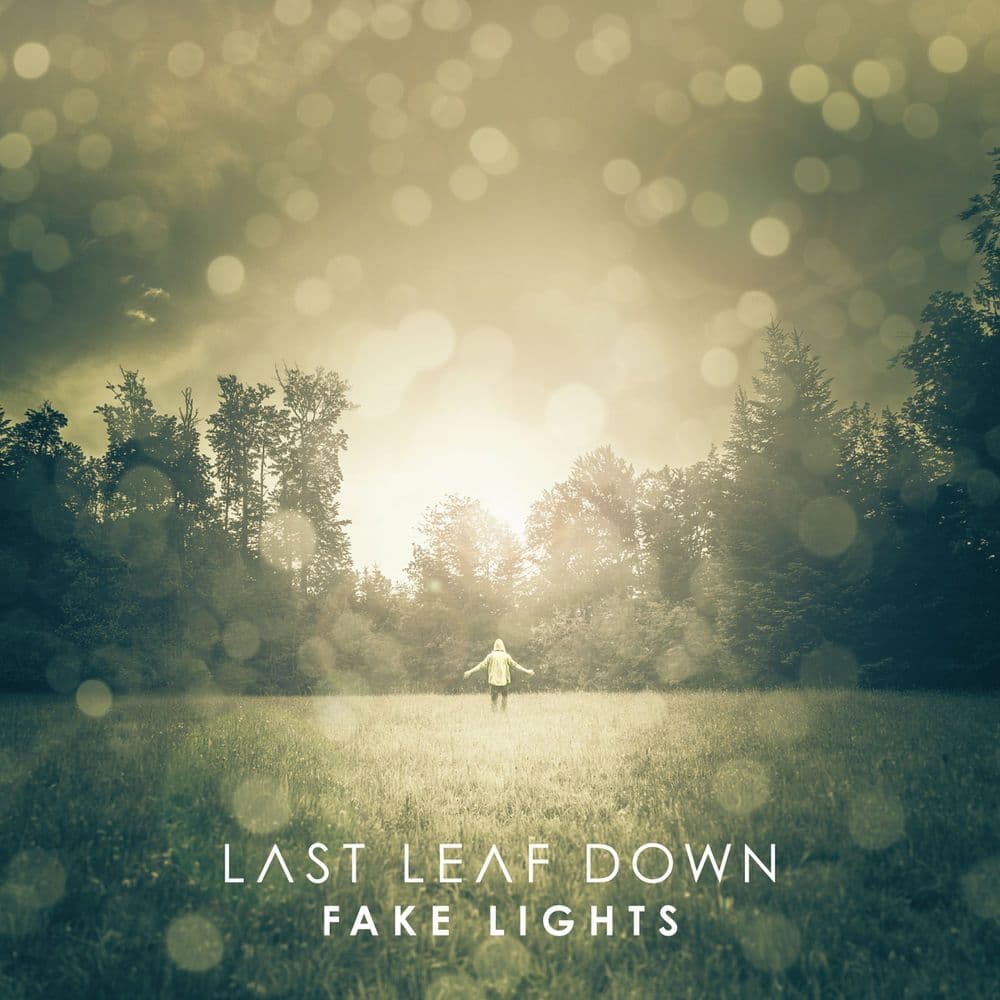 Last_Leaf_Down-Fake_Lights-_WEB_-2014-RUMBLE