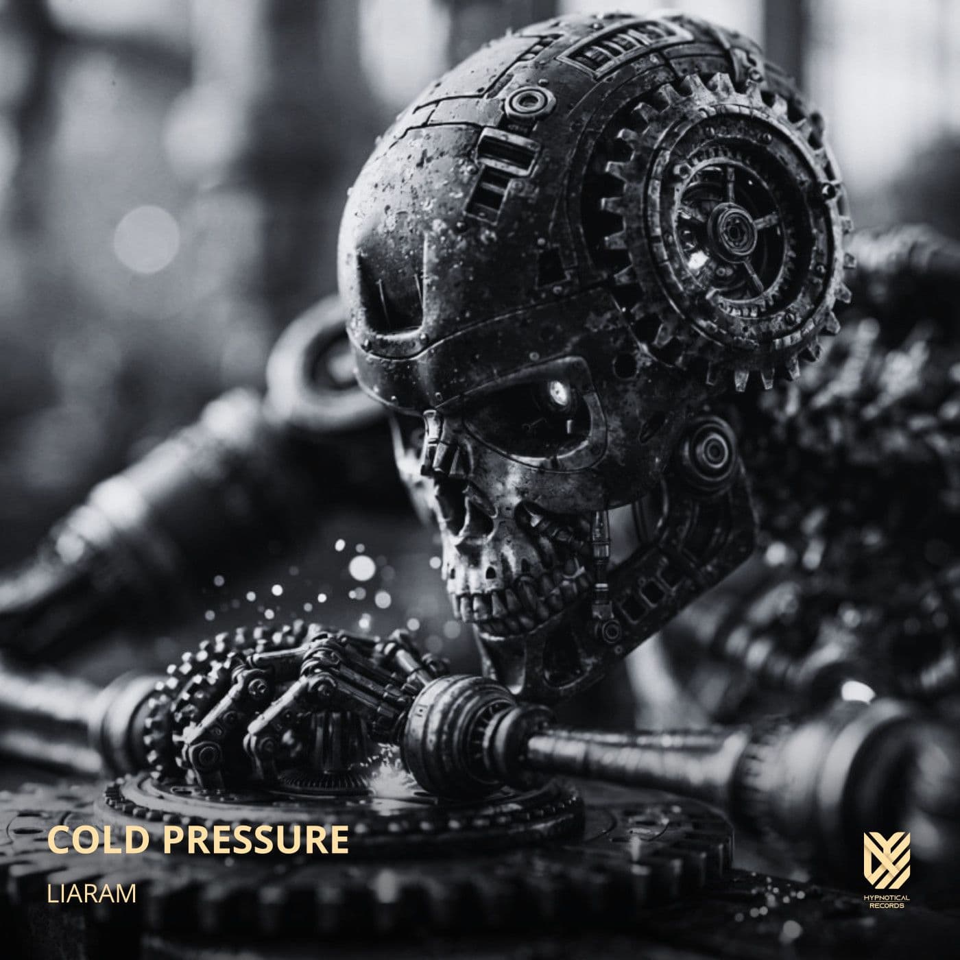Liaram-Cold_Pressure-_HR0207_-SINGLE-WEB-2026-PTC