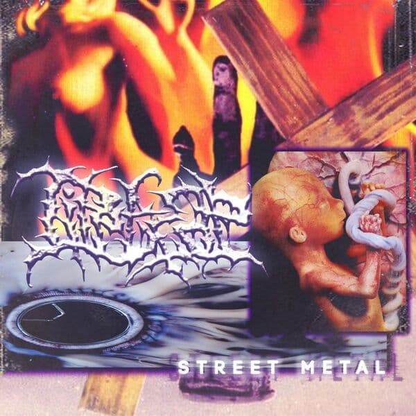 Life_Trap-Street_Metal-16BIT-WEB-FLAC-2026-VEXED