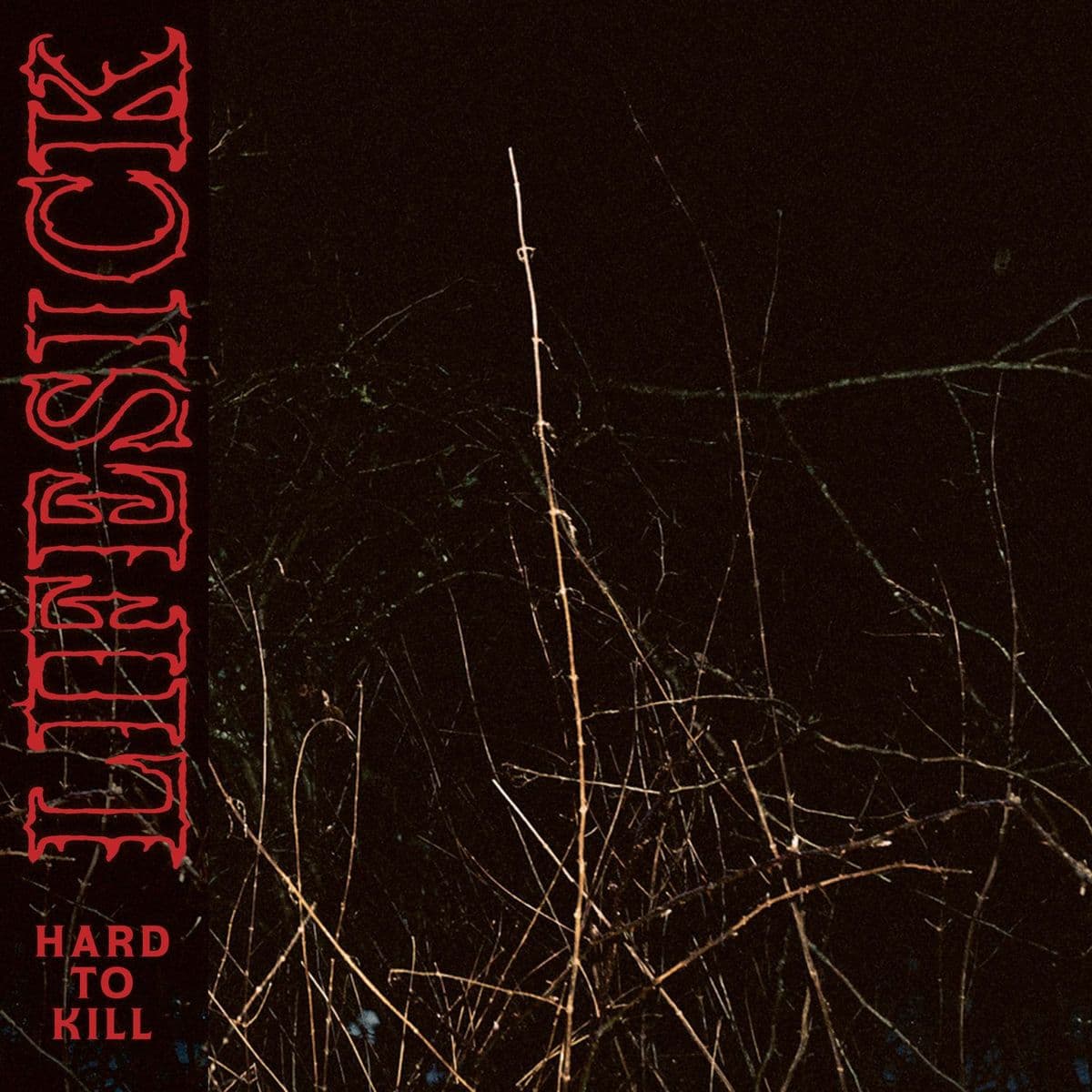 Lifesick-Hard_To_Kill-Single-WEB-2026-FiH