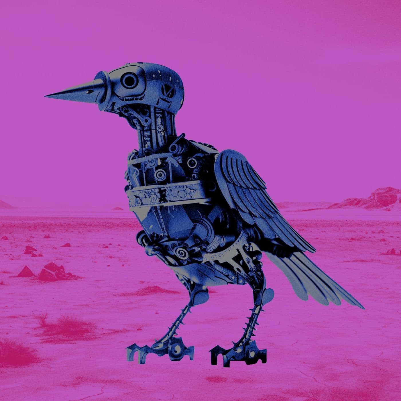 Maltitz-Groovy_Boy-_EXP179_-WEB-2026-PTC