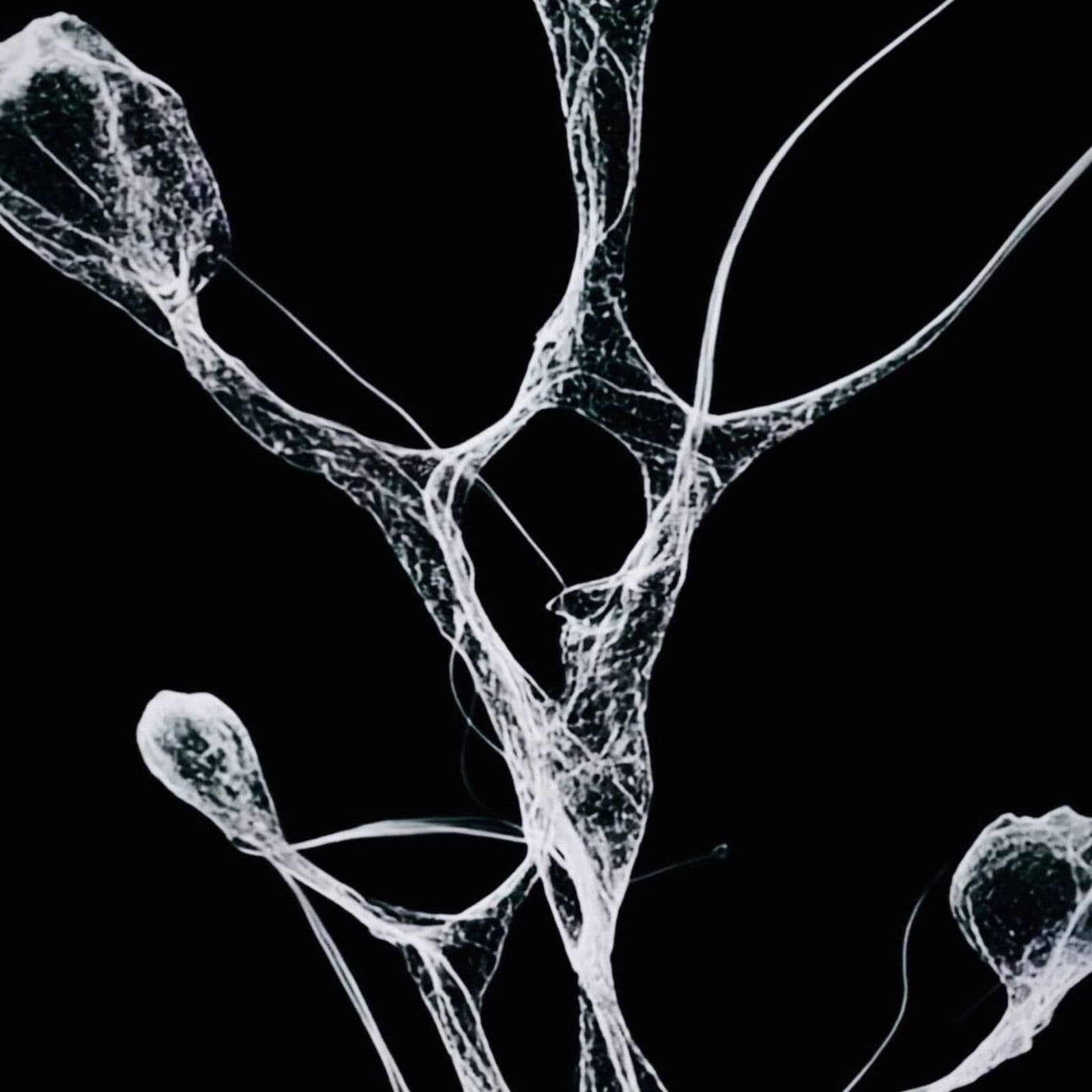 Meyer_Bergy-Matter_EP-_XS023_-WEB-2026-PTC