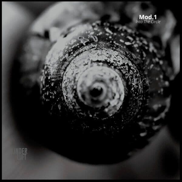 Mod.1-Into_The_Circle-_LL004_-16BIT-WEB-FLAC-2023-BABAS
