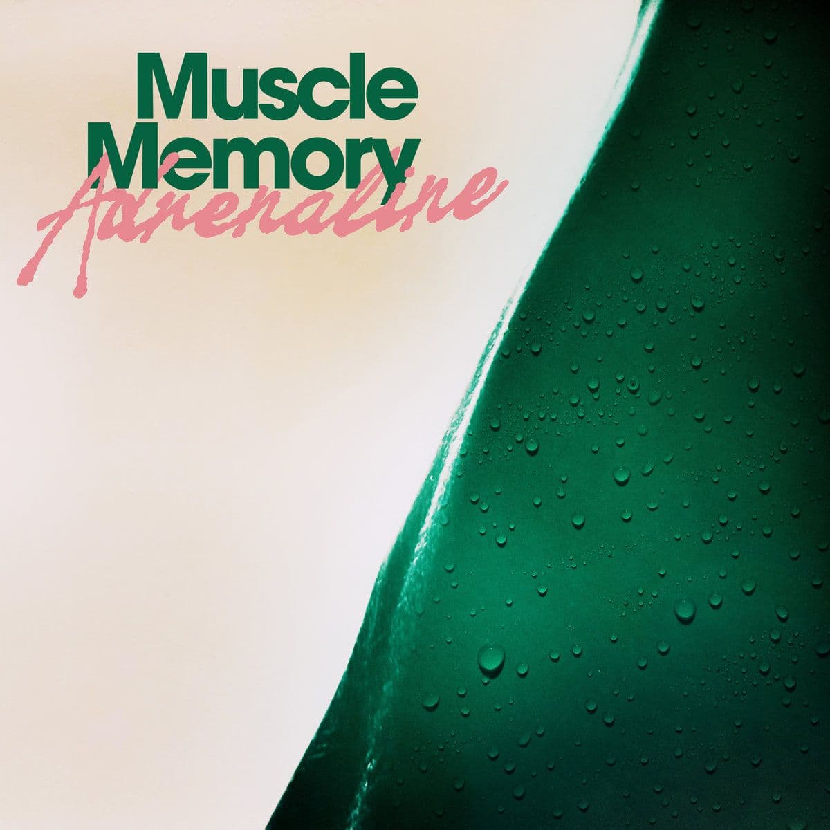 Muscle_Memory-Adrenaline-WEB-2025-BAKLAVA