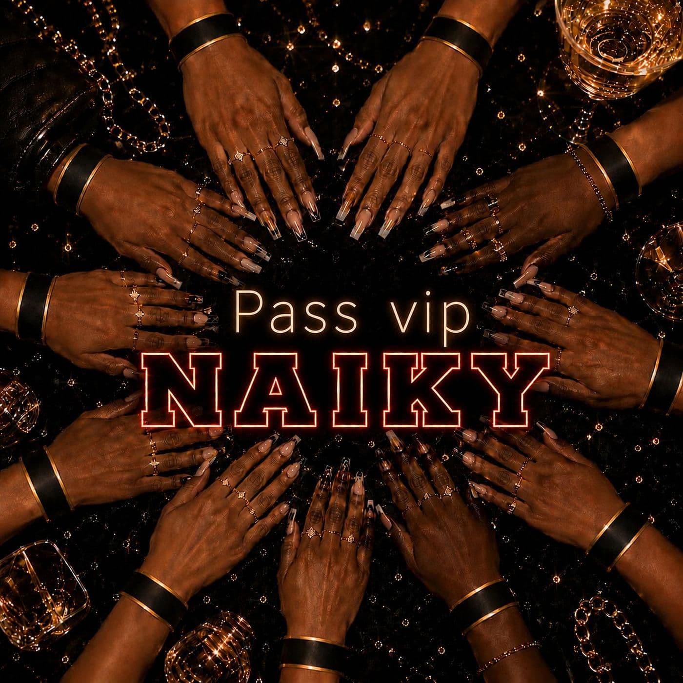 Naiky-Pass_VIP-SINGLE-WEB-FR-2026-JAH