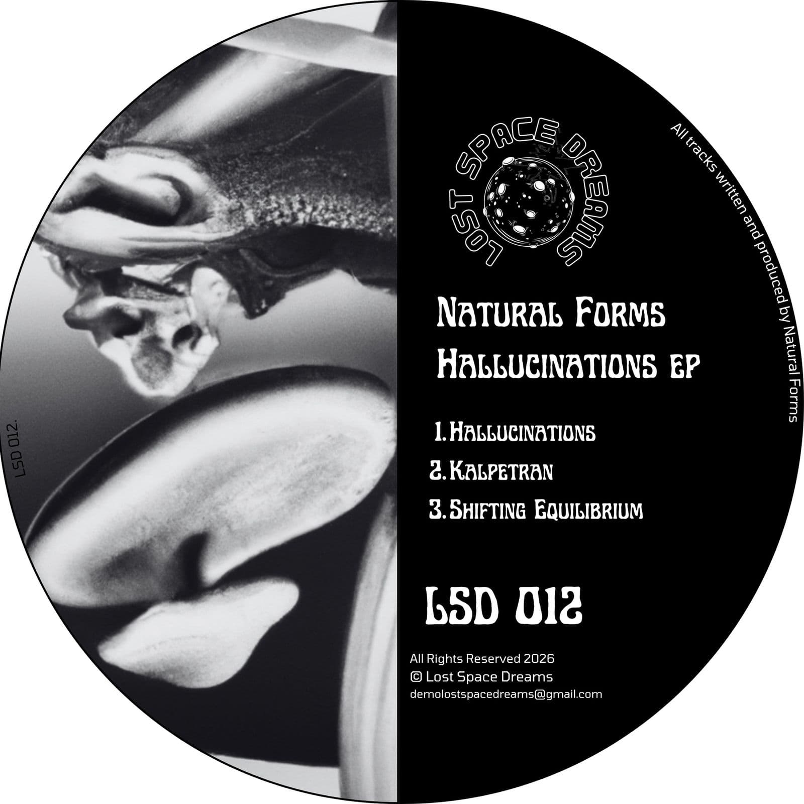 Natural_Forms-Hallucinations_EP-_LSD012_-WEB-2026-BB