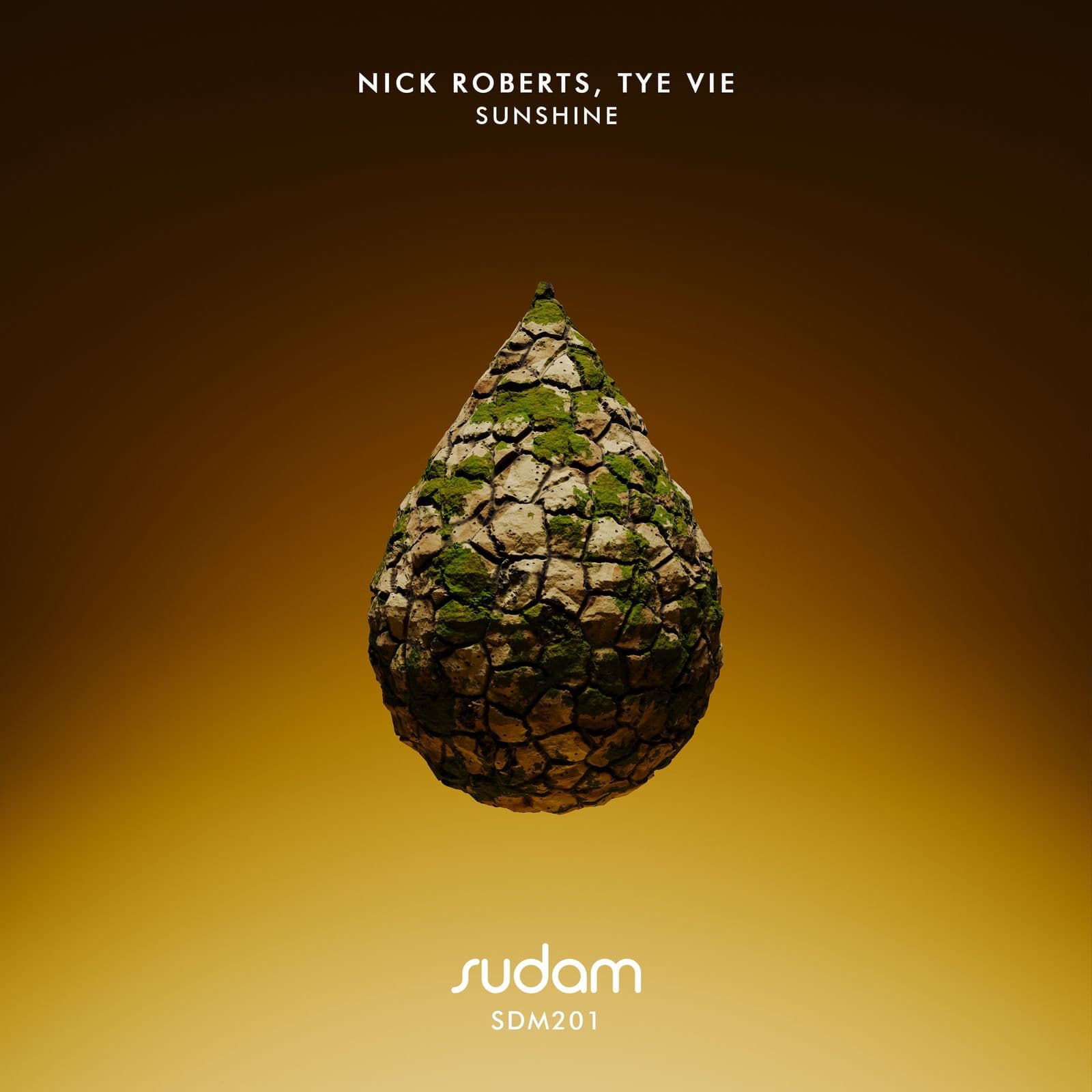 Nick_Roberts_and_Tye_Vie-Sunshine-_SDM201_-WEB-2026-PTC