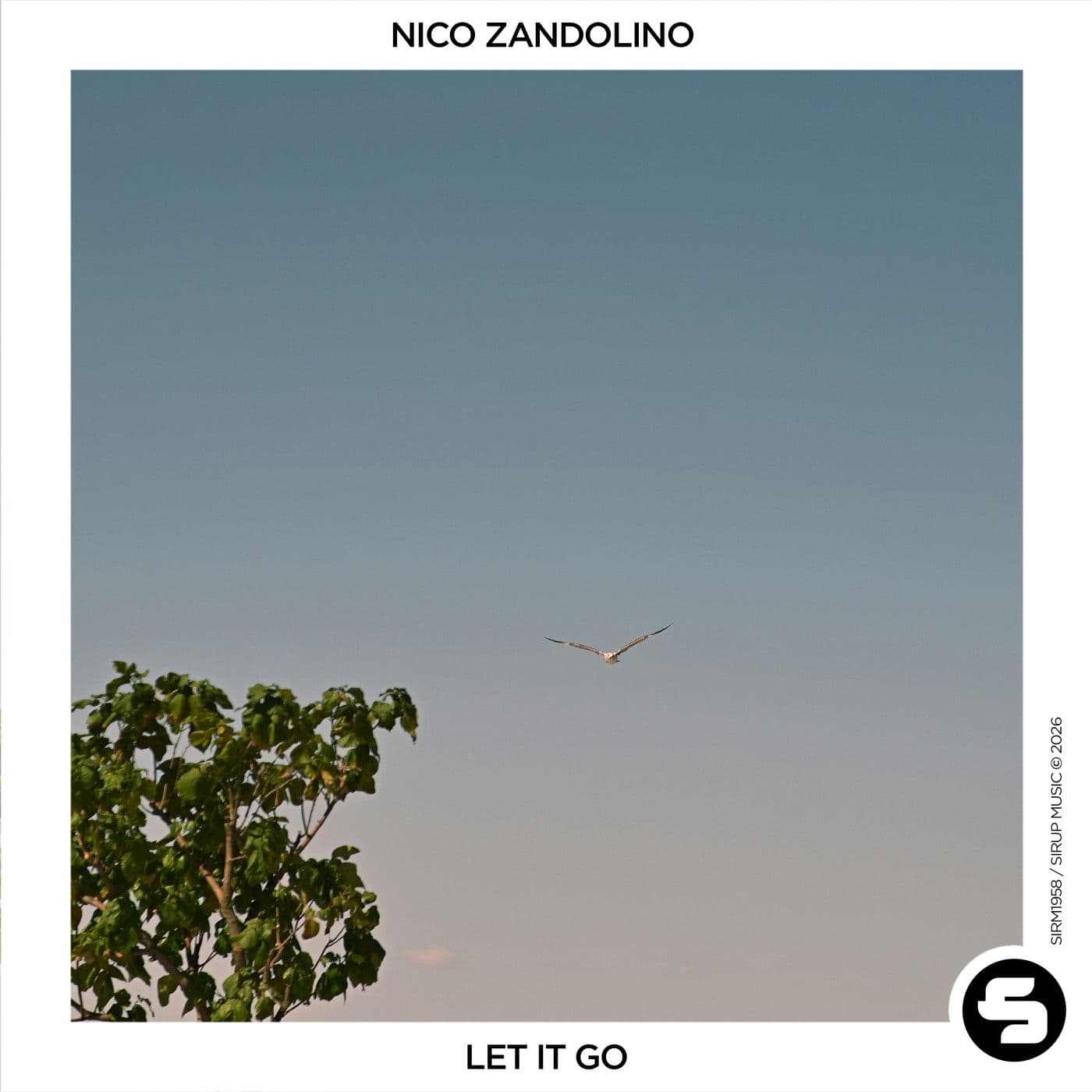 Nico_Zandolino-Let_It_Go-_SIRM1958X_-WEB-2026-PTC