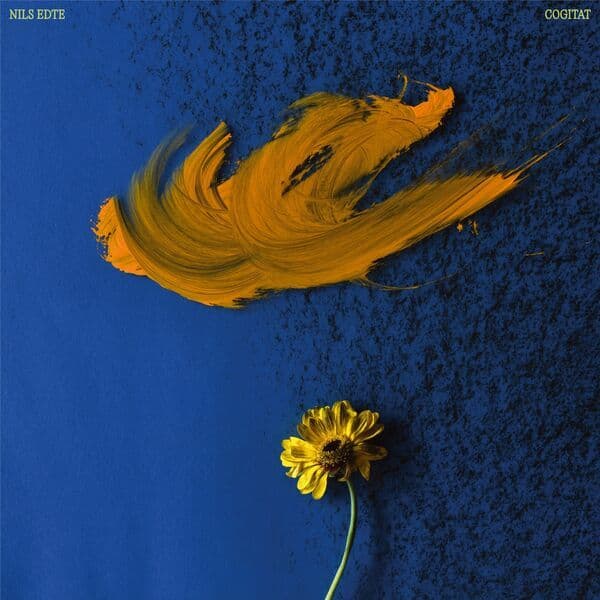 Nils_Edte-Cogitat-_PRDWNV007_-16BIT-WEB-FLAC-2026-BABAS