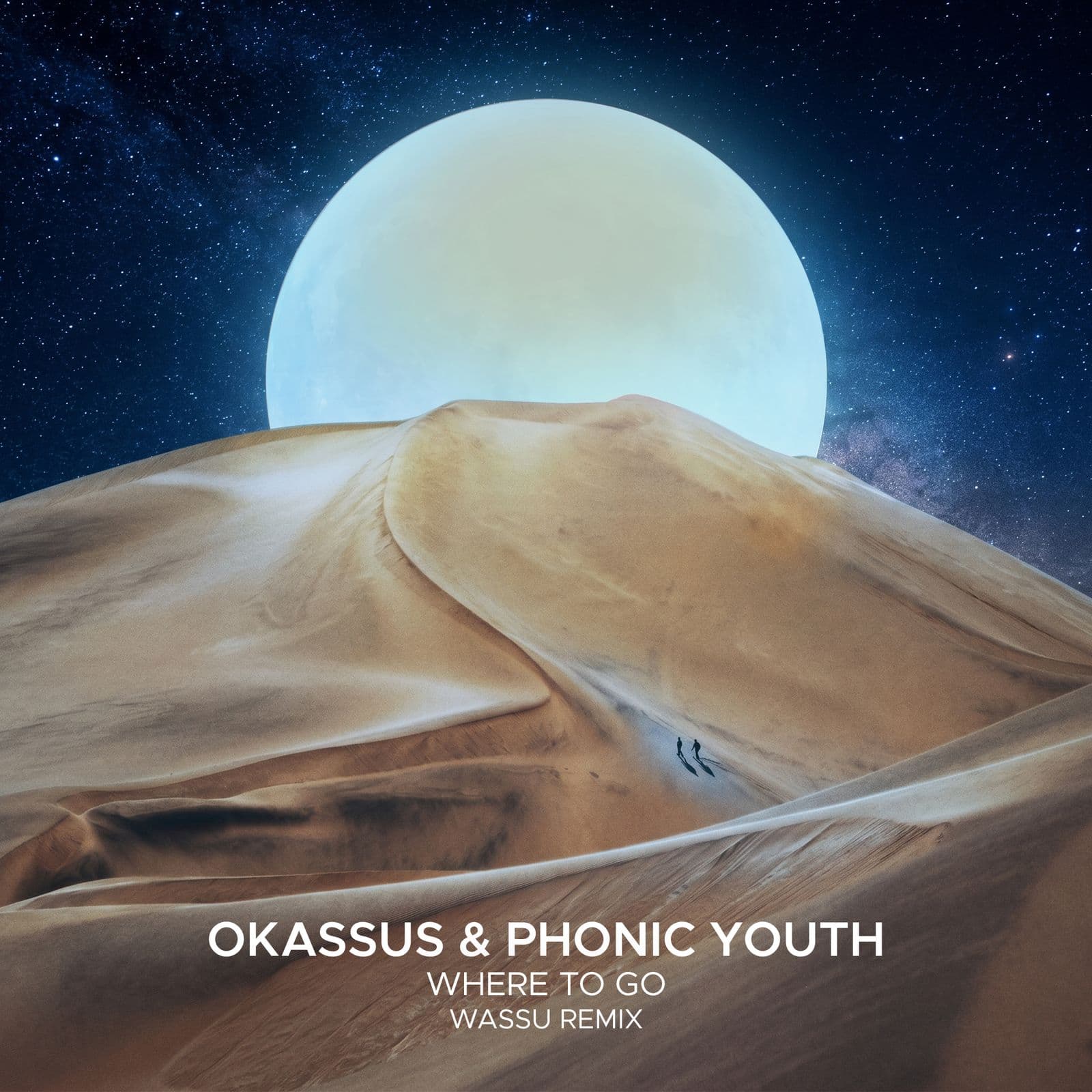 OKASSUS_and_Phonic_Youth-Where_To_Go_Wassu_Remix_-_SEK436B_-WEB-2026-PTC